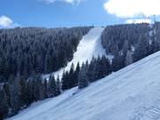 Difficult slope No. 19c Gvozdec