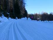 Cross-country Skiing Center Falzeben