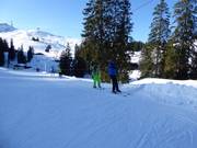 Wenalift - Rope tow/baby lift with low rope tow