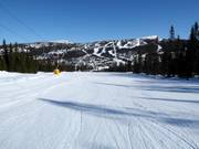 Easy slope Vesleseterbakken