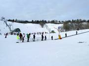 Skiing and snowboarding in Edmonton