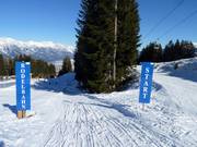 Start of the toboggan run on the Mutterer Alm