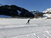Cross-country skiing Au-Schoppernau