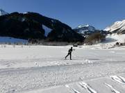 Au-Schoppernau cross-country skiing
