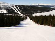 Easy slope at the Blabaerfjell platter lift