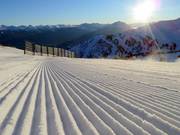 Freshly groomed slope in the Marmot Basin ski area