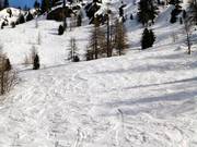 Powder snow area at the Lombarde chairlift