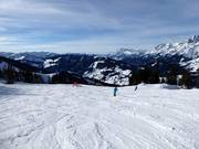 Slope at the Dacheggbahn