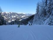 Valley run No. 1 to Hinterstoder