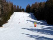 Race track Dolomitica