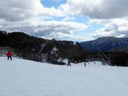 Easy valley run Wombats Ramble