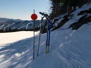 Snow cannon at the edge of the slope