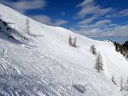 Free ski terrain in the upper area