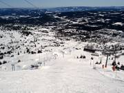 Bestemorbakken downhill run