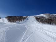 Intermediate slope Yotei Sunset (Hanazono)