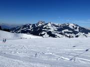 View from Sudelfeldkopf to Wendelstein