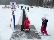 Magic Carpet in Hirschzwergland