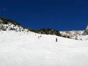 Black valley run Seealpe