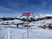 Signposting on the slopes