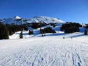 View from Sunshine Village to Lookout Mountain