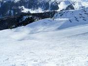 Difficult slope no. 55 Hochsaukaser