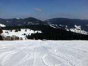 Wide, perfectly groomed slopes in Menzenschwand