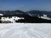 Wide, optimally groomed slopes in Menzenschwand