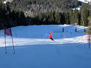 Adler7 Station Söllereck: Eagle Eye Run - slalom course