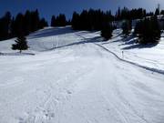 Freshly groomed slope