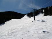 Bushwacker downhill run