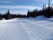 Fairly easy slope in the ski resort of Kläppen