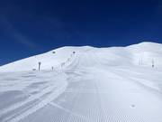 Difficult slope Dynamic (Grand Hirafu)