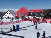 Kindy Conveyor - People mover/Moving Carpet