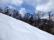 Challenging mogul slope in the Furano ski area