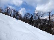 Difficult mogul slope in the ski resort of Furano