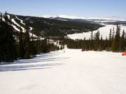 Easy slope at the Blabaerfjell platter lift