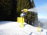 Artificial snow production in the ski resort of Lavarone