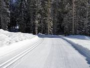 High-altitude trail on the Gerschnialp