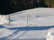 Brandner cross-country trail at the Unternberg ski area
