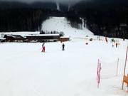 Easy slope at the Krallerhoflift in Leogang