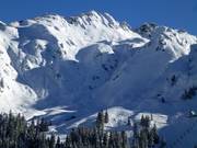 Freeride at Glattingrat