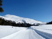 View of the Minschuns ski area from Plaun da l'Aua