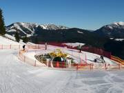 Tip for children  - Triassic Funline Steinplatte