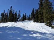 Mogul slope in the ski area of Idre Fjäll