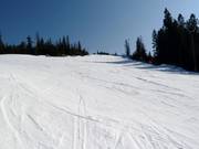 Groomed slope