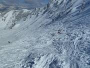Mogul run and powder snow at the Top Liner