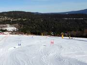 Parallel giant slalom for kids with double timekeeping