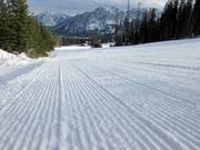 Groomed slope in the Nakiska ski area