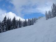 Very difficult slopes at Red Mountain