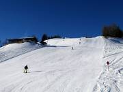Waldalm-Kreuzboden slope